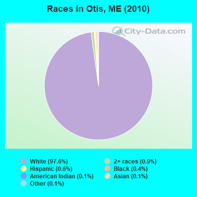 Races in Otis, ME (2010)