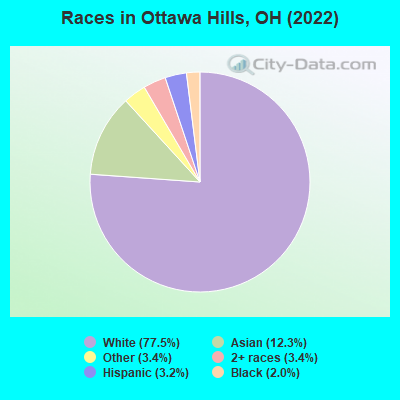 Races in Ottawa Hills, OH (2019)