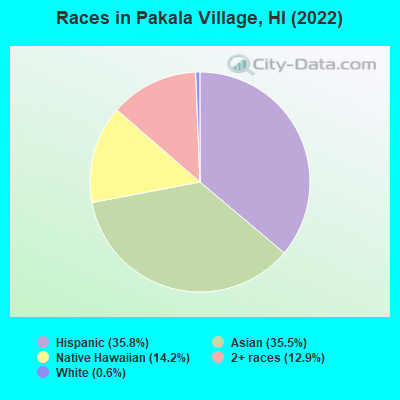 Races in Pakala Village, HI (2022)