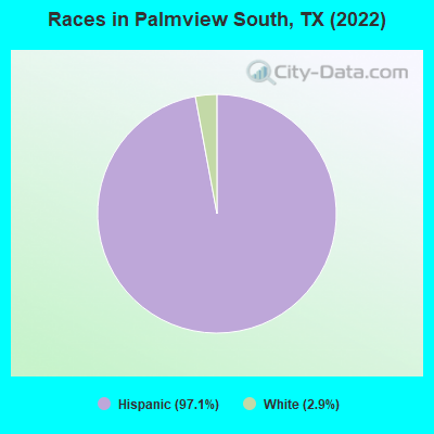 Races in Palmview South, TX (2022)