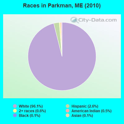 Races in Parkman, ME (2010)