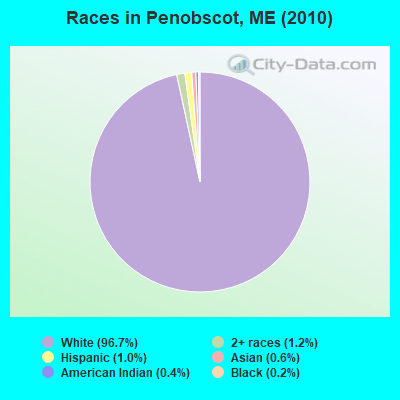 Races in Penobscot, ME (2010)