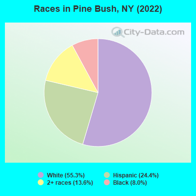 Races in Pine Bush, NY (2019)