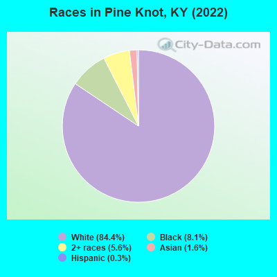 Races in Pine Knot, KY (2019)