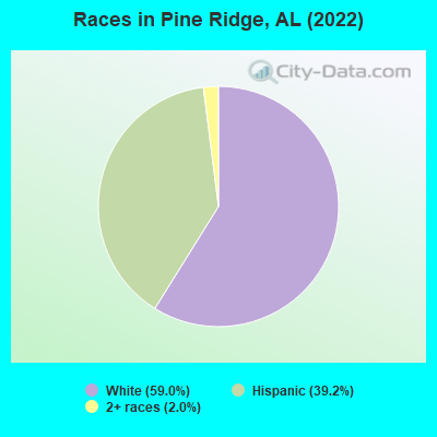 Races in Pine Ridge, AL (2022)
