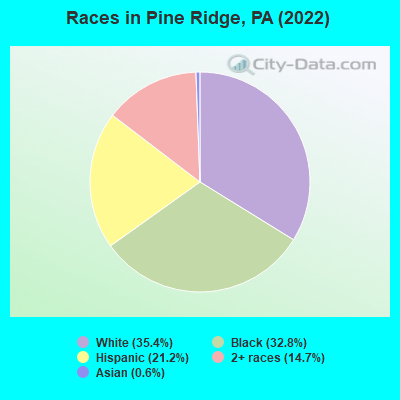 Races in Pine Ridge, PA (2022)