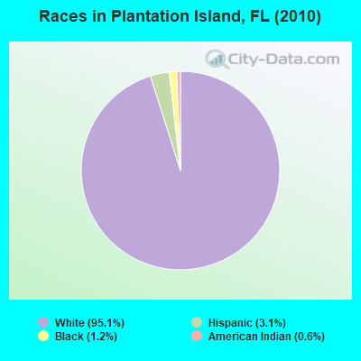 Races in Plantation Island, FL (2010)