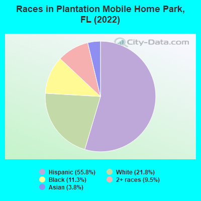 Races in Plantation Mobile Home Park, FL (2022)