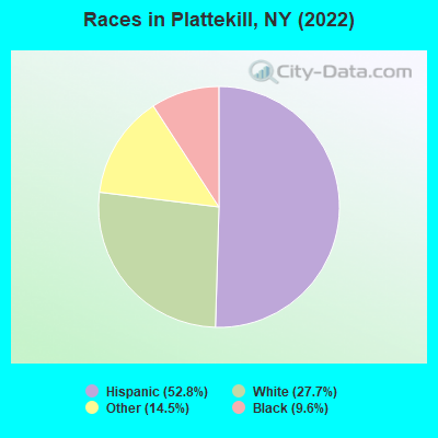 Races in Plattekill, NY (2022)