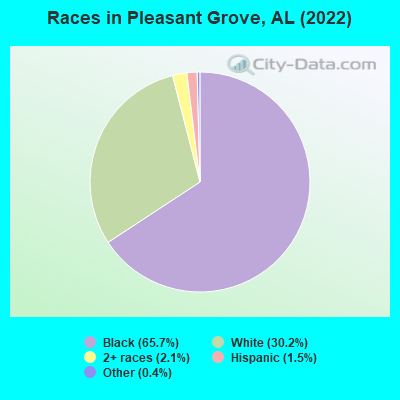 Races in Pleasant Grove, AL (2019)