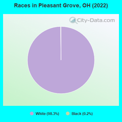 Races in Pleasant Grove, OH (2022)