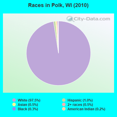 Races in Polk, WI (2010)