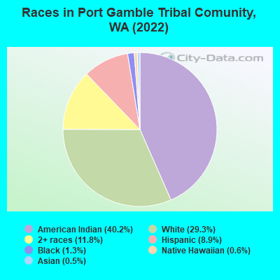 Races in Port Gamble Tribal Comunity, WA (2022)