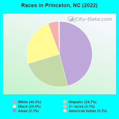 Races in Princeton, NC (2022)