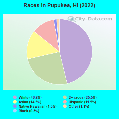 Races in Pupukea, HI (2022)