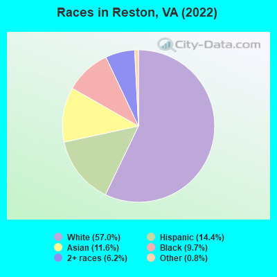 Races in Reston, VA (2021)