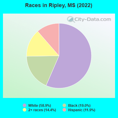 Races in Ripley, MS (2019)