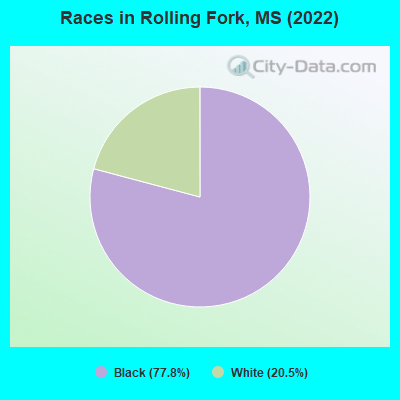 Races in Rolling Fork, MS (2022)