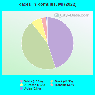 Races in Romulus, MI (2022)
