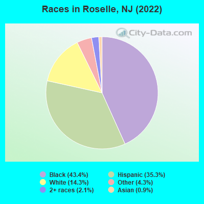 Races in Roselle, NJ (2019)