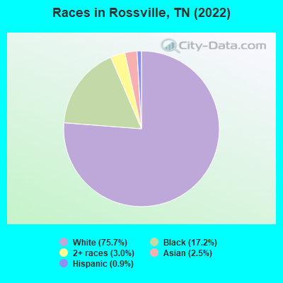 Races in Rossville, TN (2019)
