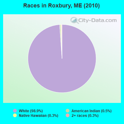 Races in Roxbury, ME (2010)