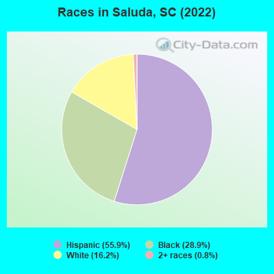 Races in Saluda, SC (2022)