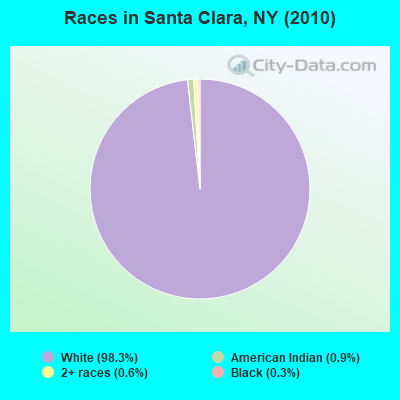 Races in Santa Clara, NY (2010)