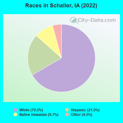 Races in Schaller, IA (2022)
