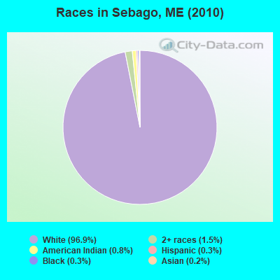 Races in Sebago, ME (2010)