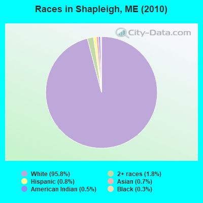 Races in Shapleigh, ME (2010)