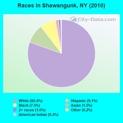 Races in Shawangunk, NY (2010)