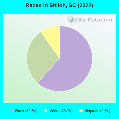 Races in Shiloh, SC (2022)