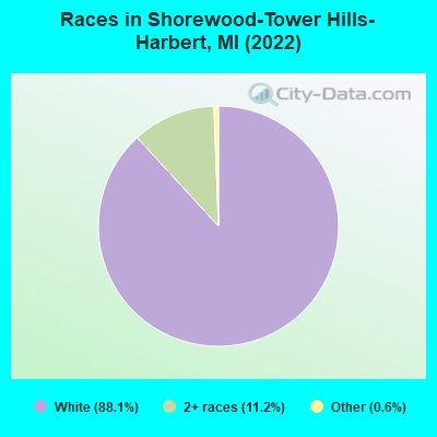 Races in Shorewood-Tower Hills-Harbert, MI (2022)