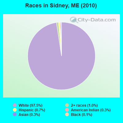 Races in Sidney, ME (2010)