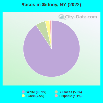 Races in Sidney, NY (2022)