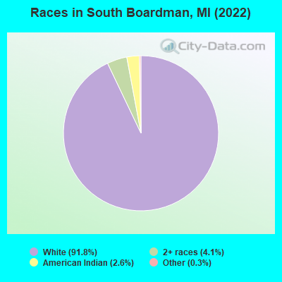 Races in South Boardman, MI (2019)