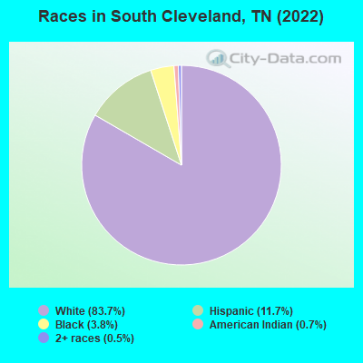 Races in South Cleveland, TN (2019)