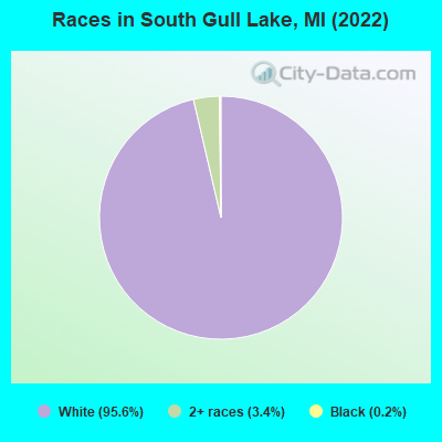 Races in South Gull Lake, MI (2022)