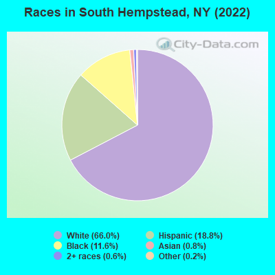 Races in South Hempstead, NY (2022)