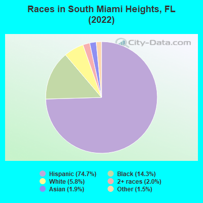 Races in South Miami Heights, FL (2019)