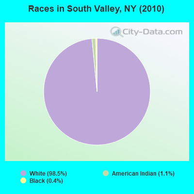 Races in South Valley, NY (2010)
