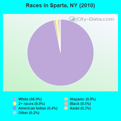 Races in Sparta, NY (2010)