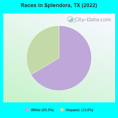 Races in Splendora, TX (2019)