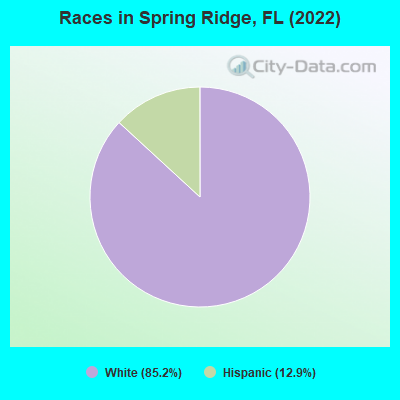Races in Spring Ridge, FL (2021)
