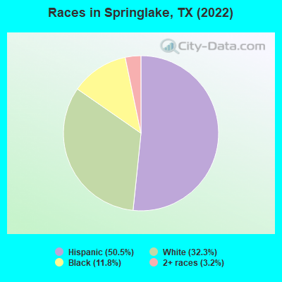 Races in Springlake, TX (2022)