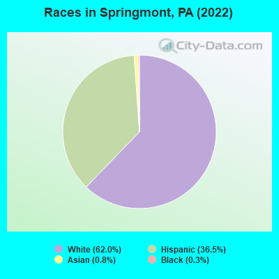 Races in Springmont, PA (2019)