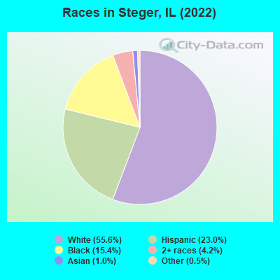 Races in Steger, IL (2019)