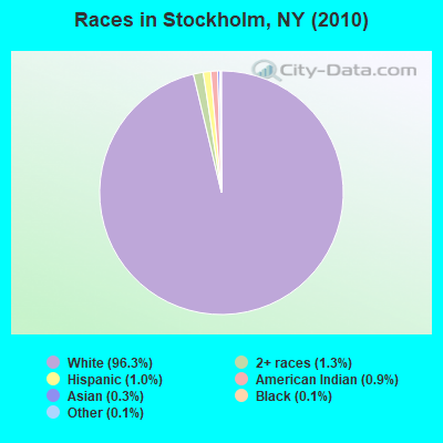 Races in Stockholm, NY (2010)