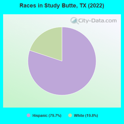 Races in Study Butte, TX (2022)